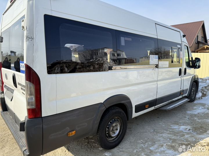 Городской автобус FIAT Ducato, 2012