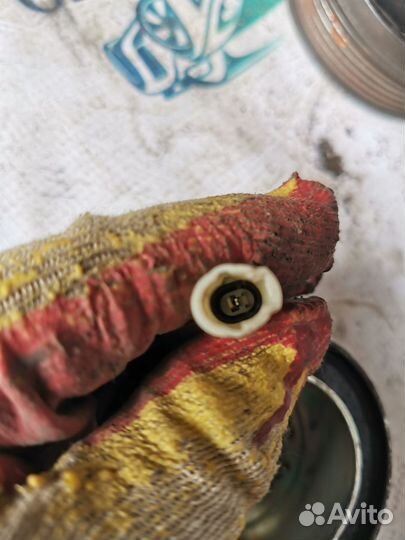 Муфта компрессора кондиционера Ford C-MAX I рестай