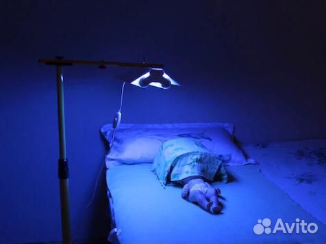 Прокат уф лампа от желтушки