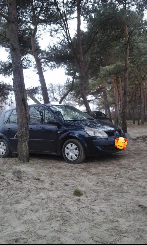 Renault Scenic: фото владельца