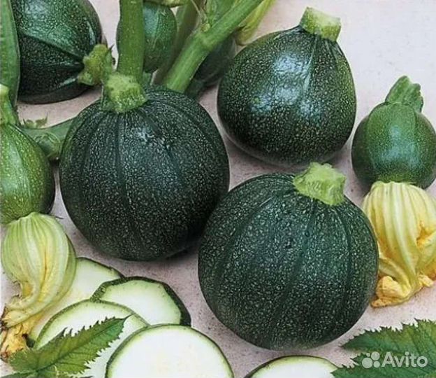 Кабачек горшочек, патиссон