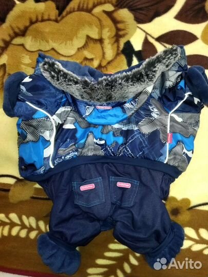 Комбинезон для маленькой собаки