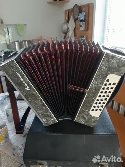 Гармонь Восток