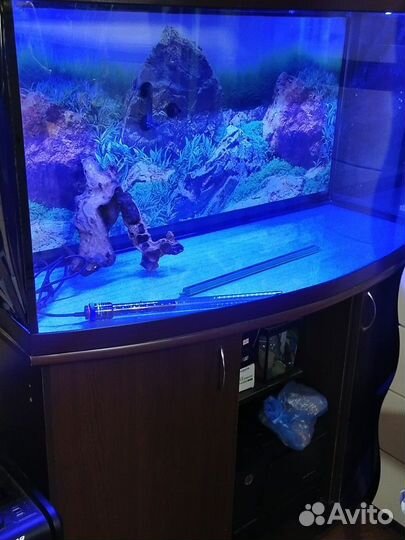 Аквариум с тумбой 300 литров