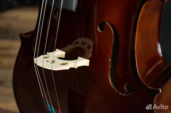 Виолончель Caraya + Аксессуары