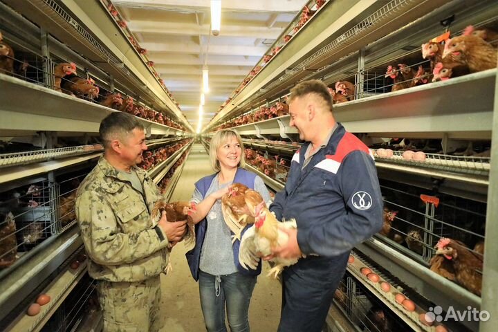 Вахта Птица гибкий график Челябинск