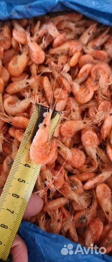 Креветка сочная, сладкая