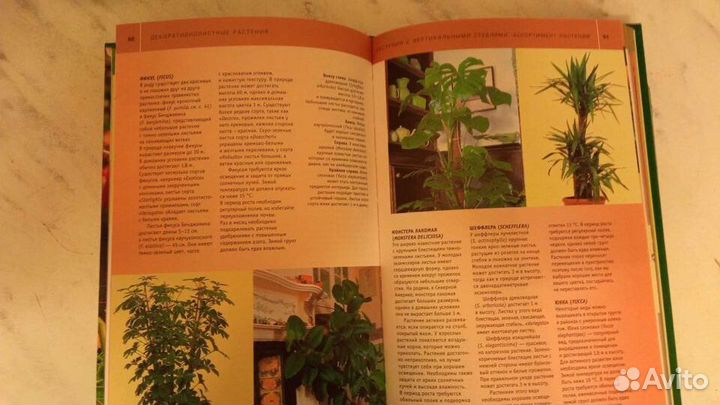 Подарочная книга-альбом Комнатные растения