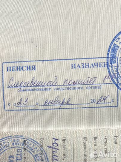 Заявления, обжалования, ходатайства по угол. делам