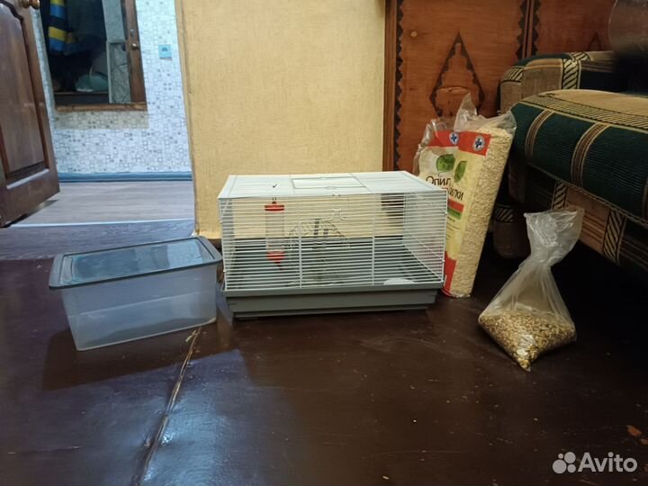 Набор для хомяка