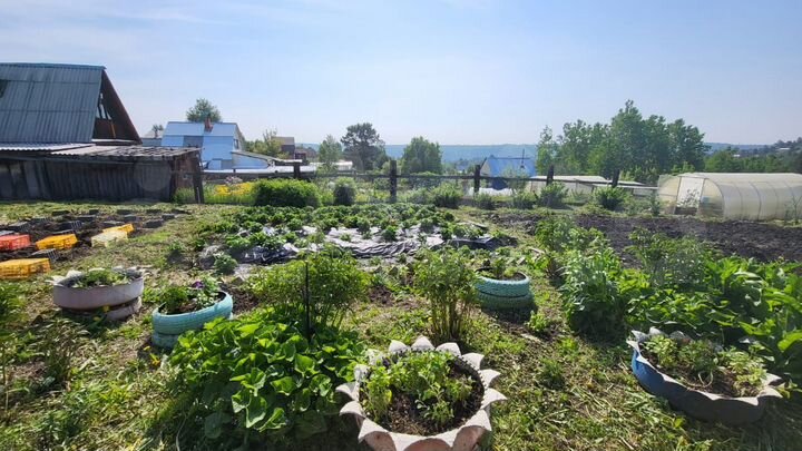 Дача 25 м² на участке 12 сот.