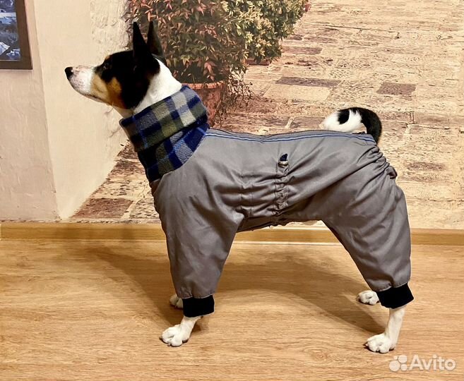 Комбинезон для басенджи