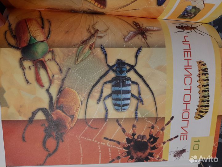 Детские книги энциклопедии