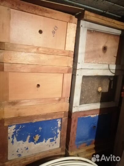 Продаются пчелиные10-рамочные улья