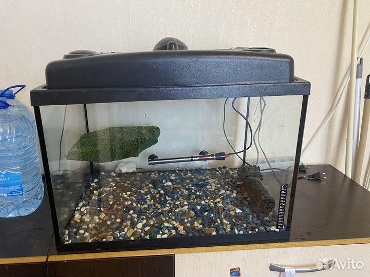 Черепашник (аквариум)