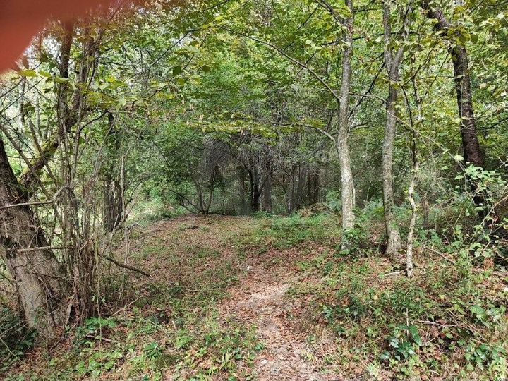 Участок 6 сот. (СНТ, ДНП)