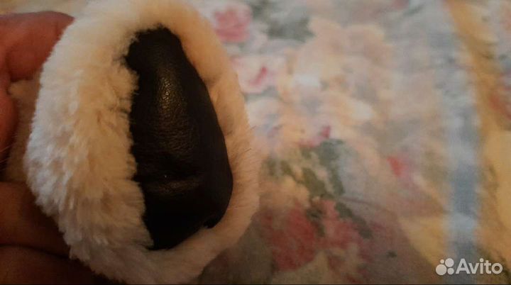 Одежда для маленьких собак