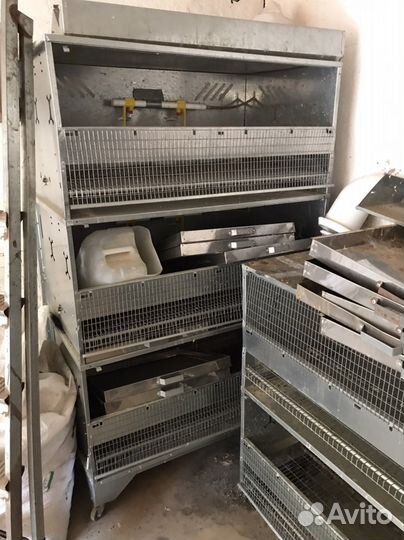 Клетки для кур