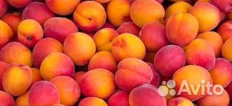 Работник в торговый зал