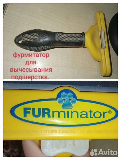 Вещи для собак