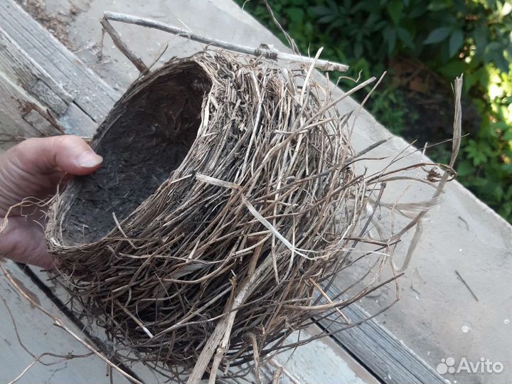 Гнездо для птиц