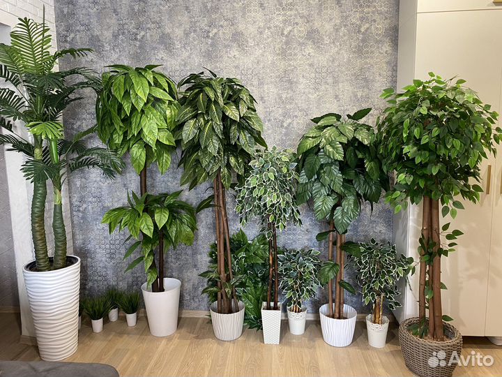 Искусственные (декоративные) растения