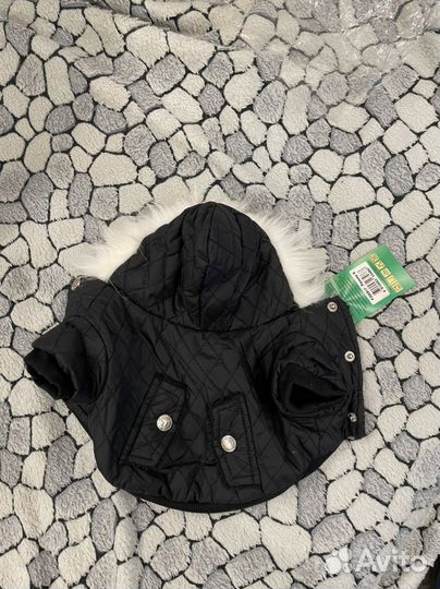 Верхняя одежда для собак мелких пород