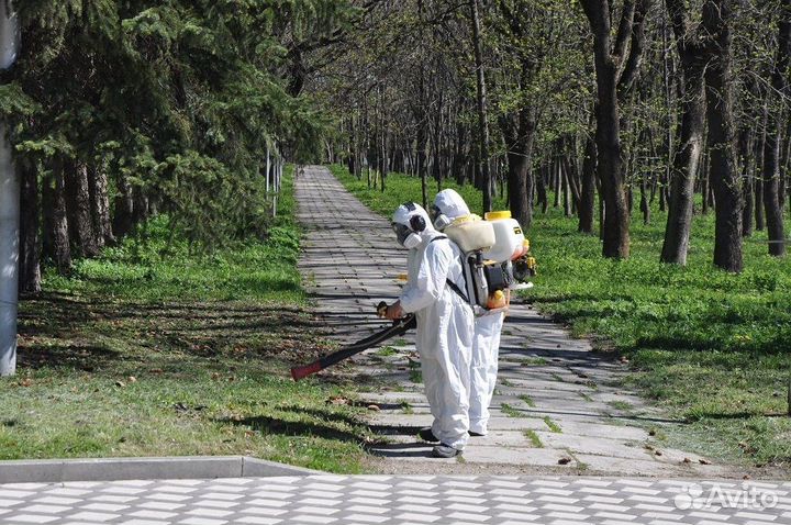 Уничтожение клещей комаров короеда ос борщевика