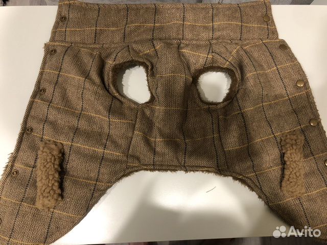 Одежда для собак