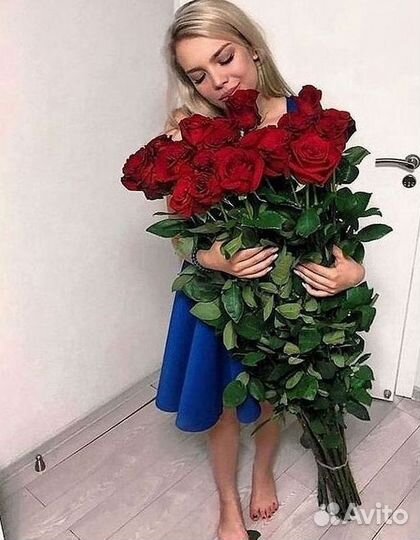 Высокие розы Гигантские розы Доставка цветов