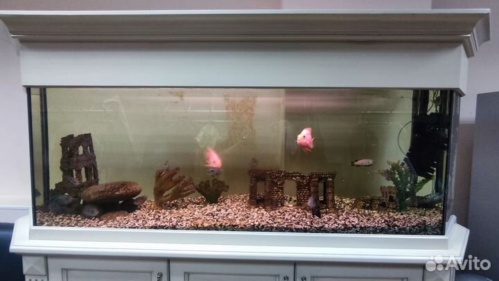 Аквариум с тумбой 500 литров