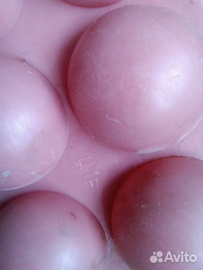 Контейнер для яиц времен СССР