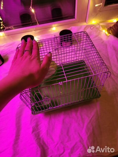Клетка для грызунов маленькая