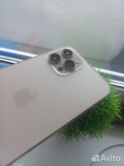 iPhone 12 Pro Max, 256 ГБ