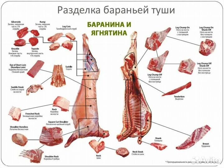 Баранина свежее мясо
