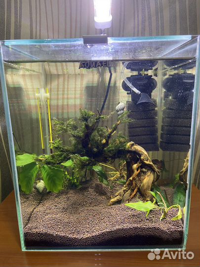 Аквариум aquael