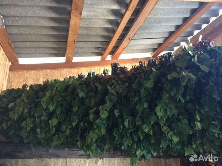 Веники берёзовые