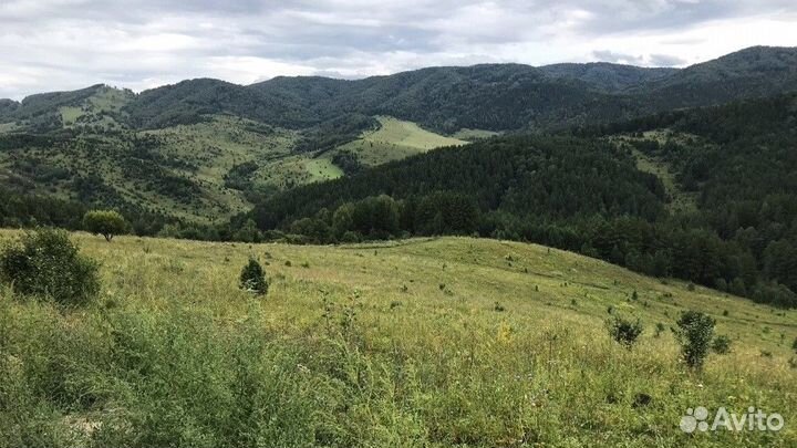 Путешествие Алтай летний экспедиция 5-9 дн