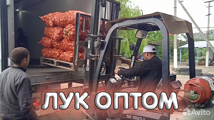 Лук Оптом. Краснодар, 28.07.2023