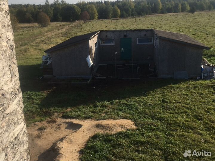 Молочная ферма. Коровье и козье молоко