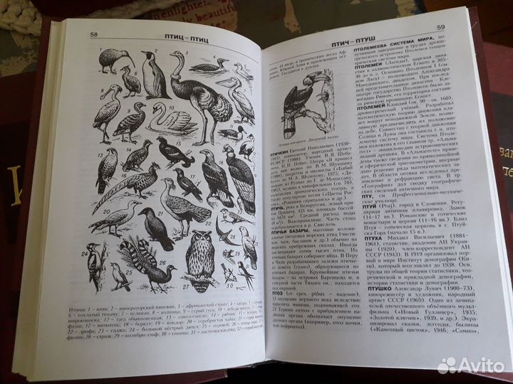 Энциклопедия, новая иллюстрированная