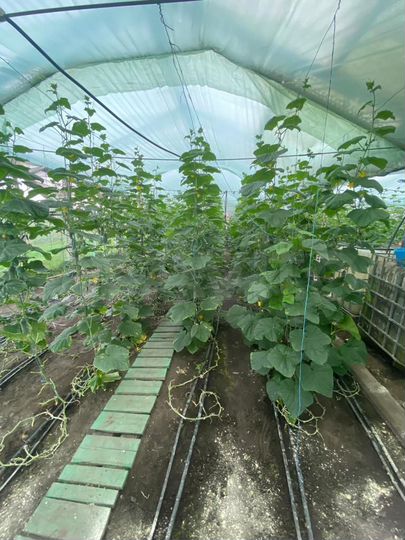 Производство, 2296 м²