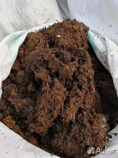 Коровий навоз