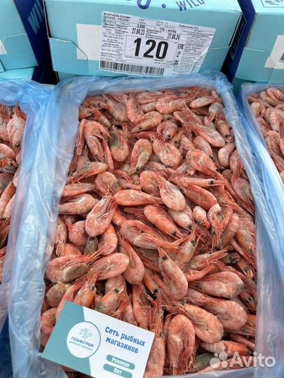 Мурманская креветка 120+