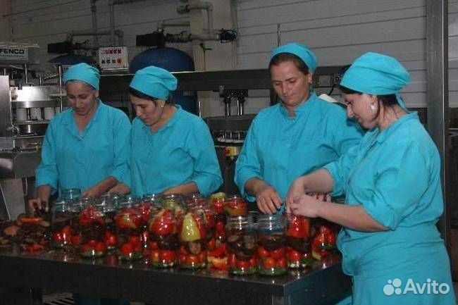 Вахта оператор линии (3-х разовое питание)