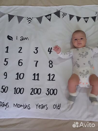 Фотопеленка для фотосессий по месяцам