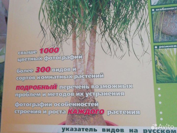 Книга про комнатные растения