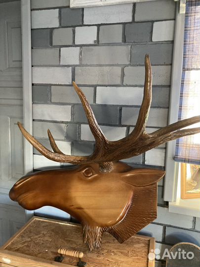 Голова Лося с настоящим рогами