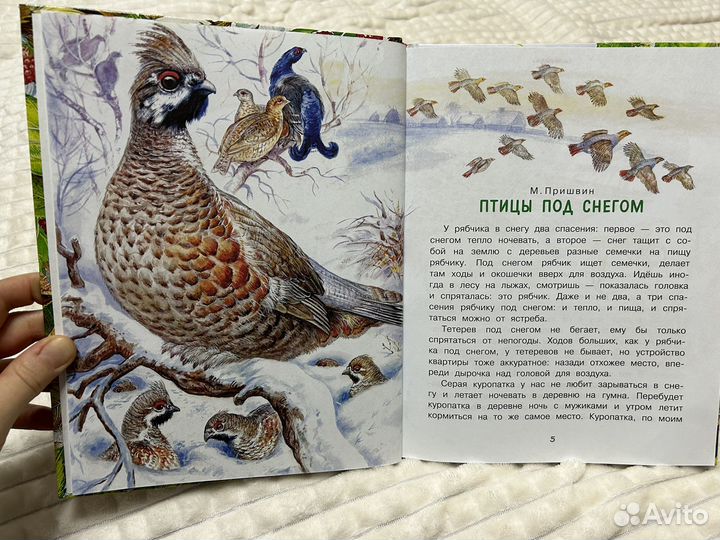 Сказки леса