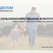 Сельскохозяйственное агентство в городе, Анкара